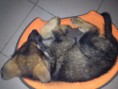 /album/fenykepgaleria/img-5755-jpg/